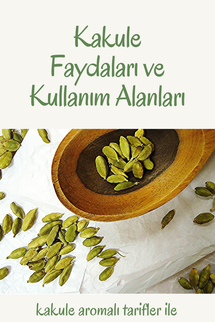 Arkadaşımın Diyetini Uygulayabilir Miyim Zayıflatır Mı 6