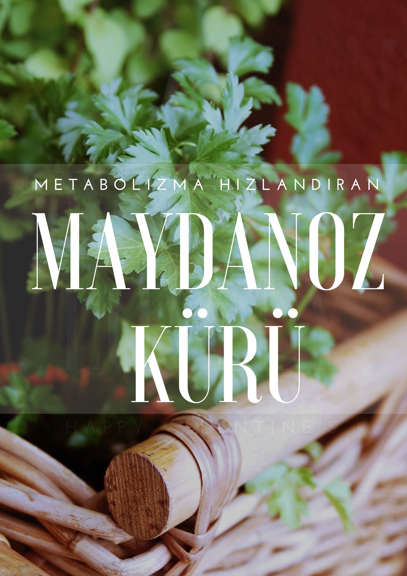 Maydanoz Çayı Nasıl Yapılır Maydanoz Çayı Nasıl Yapılır