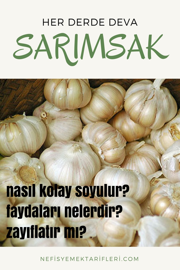 Sarımsak Ne İşe Yarar Sarımsak Ne İşe Yarar