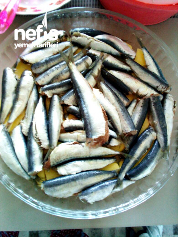 Balık Kızartmasını Unutturan Hafif Sağlıklı Ve Yumuşacık Fırında Sardalya