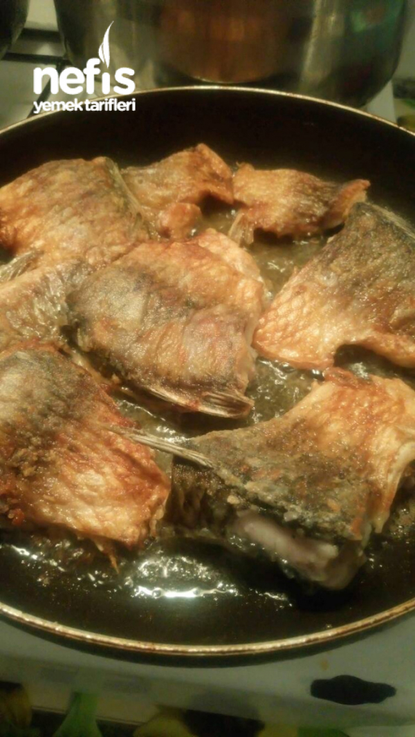 Sazan Balığı Kızartması Nefis Yemek Tarifleri