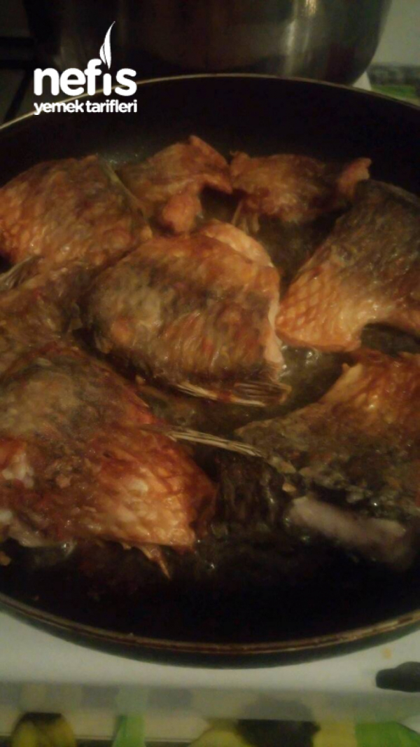 Sazan Balığı Kızartması Nefis Yemek Tarifleri