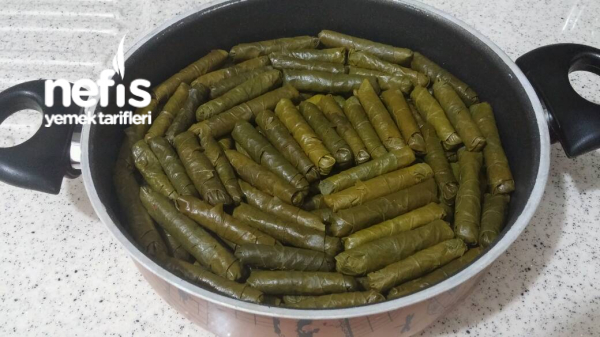 Nefis Sarma