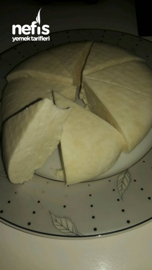 Ev Yapimi Peynir