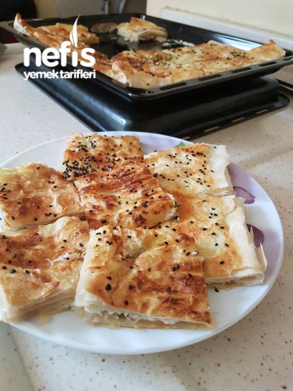 Tepside Peynirli Börek Nefis Yemek Tarifleri