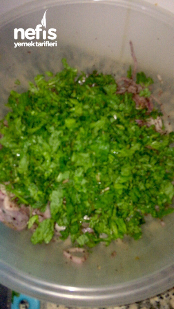 Soğan Salatası (tavuk-et şiş yanına yakışan salata)