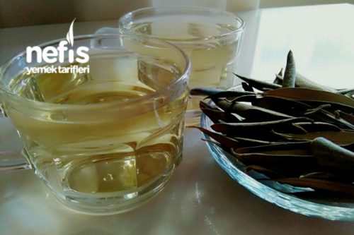 Zeytin Yaprağı Çayı Tarifi