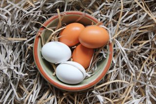 Gezen Tavuk Yumurtası Faydaları, Besin Değerleri ve Vitaminli Tarifler Tarifi
