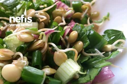 Filizlendirilmiş Yeşil Mercimek Salatası Tarifi