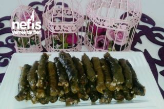 dolma sarma tarifleri kuru zeytinyagli etli nefis yemek tarifleri sayfa 239