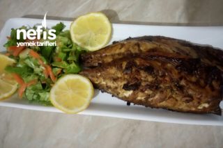 Bol Soslu Fırında Palamut Balığı Tarifi
