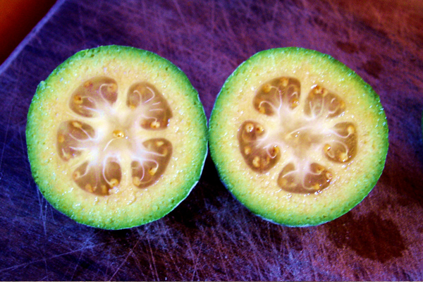 Kaymak Ağacının Feijoa Meyvesi Tarifi Kaymak Ağacının Feijoa Meyvesi Tarifi