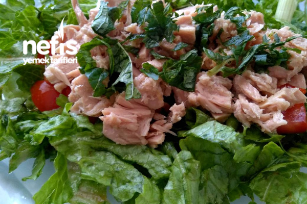 Ton Balıklı Yeşil Salata