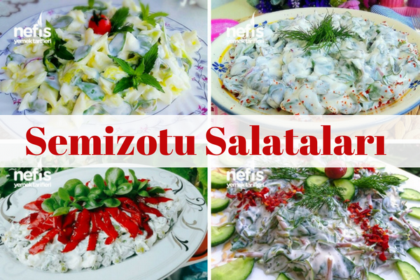 Semizotu Salataları – Değişik ve Pratik Tarifler Tarifi Semizotu Salataları – Değişik ve Pratik Tarifler Tarifi