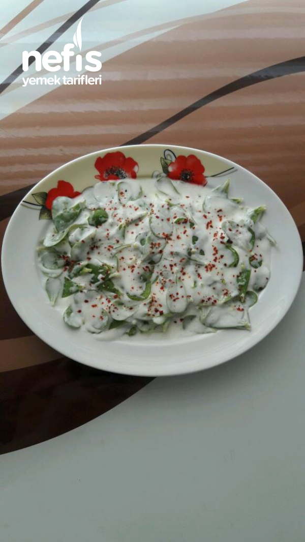Yoğurtlu Semizotu Salatası