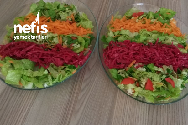 Üç Renkli Salata