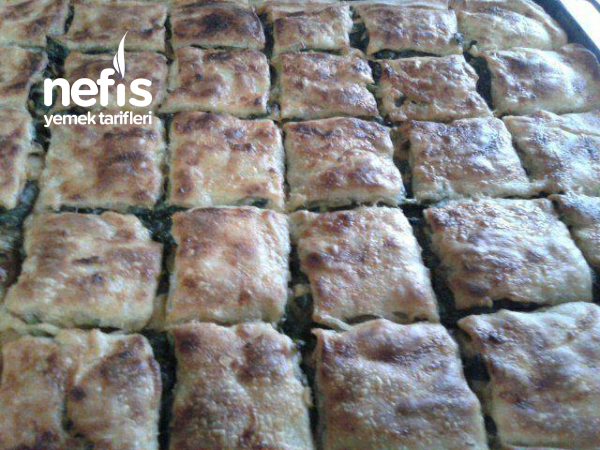 Katlı Ispanaklı Börek Ev Yapımı Nefis Yemek Tarifleri