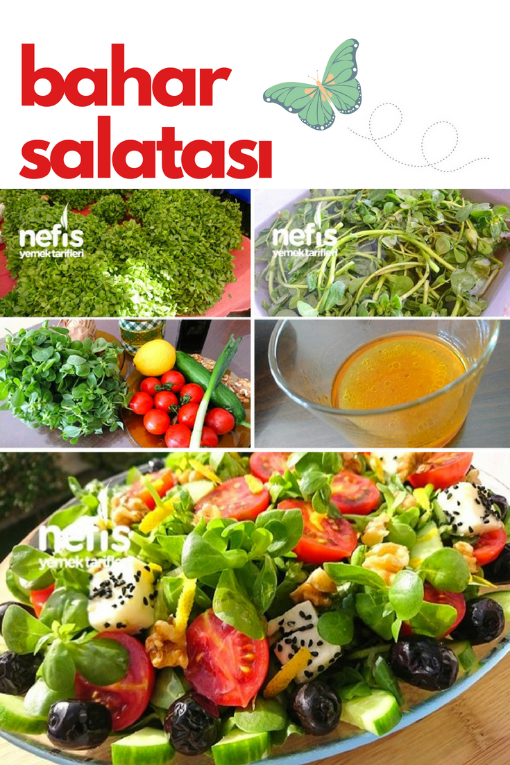 Zayıflatan semizotu salataları Zayıflatan semizotu salataları