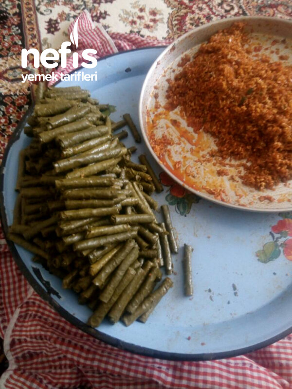 Yaprak Sarma - Nefis Yemek Tarifleri - #4606583