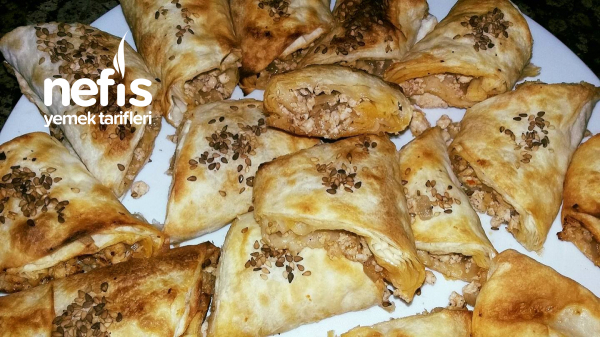 Olmaz Olmaz Demeyin Tavuklu Üçgen Börek