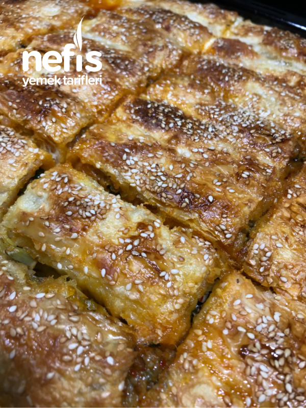 Koymalı Ispanaklı Börek