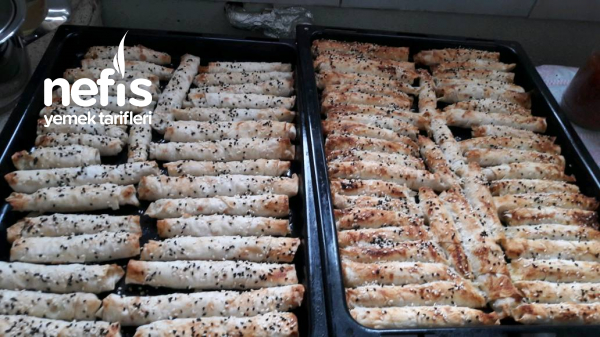 Tavuklu Sebzeli Börek Nefis Yemek Tarifleri 4640623