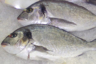 İzmarit Balığı Nasıl Pişirilir? Nasıl Tutulur? Tarifi