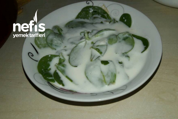 Semizotu Salatası (Çok Sağlıklı Her Açıdan)