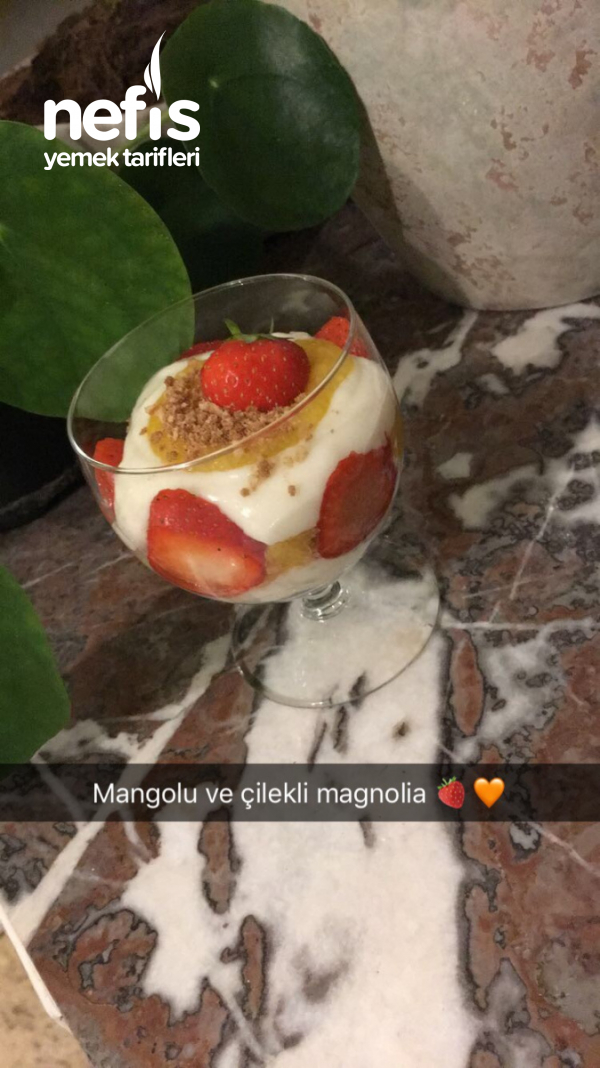 Mangolu Ve Çilekli Magnolia