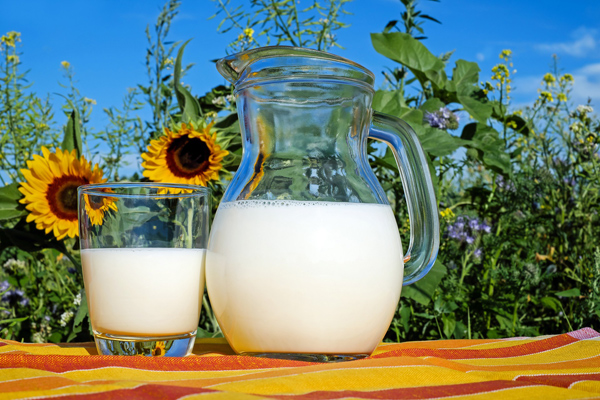 laktozsuz sütün faydaları