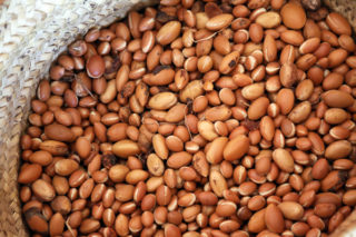 Argan Yağı Faydaları: Cilt ve Saça Faydaları Tarifi