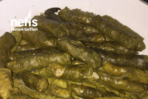 Zeytin Yağlı Yaprak Sarma Tarifi