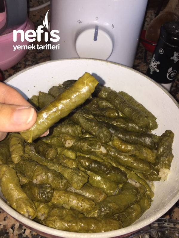 Zeytin Yağlı Yaprak Sarma