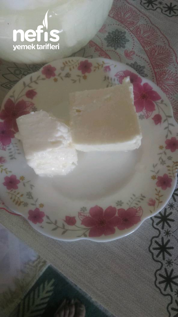 Salamura Peynir