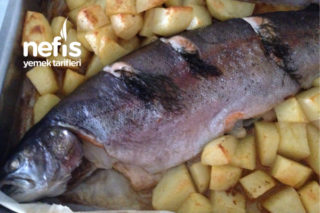 Fırında Soman Balığı (Etüve Pişirme) Ve Sarımsaklı Pide Tarifi