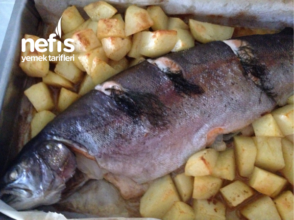 Fırında Soman Balığı (etüvé Pişirme) Ve Sarımsaklı Pide