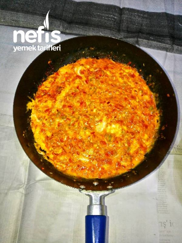 Menemen Nefis Yemek Tarifleri 4720235