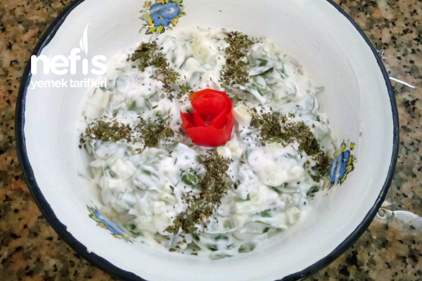 Semizotu Salatası-Cacığı