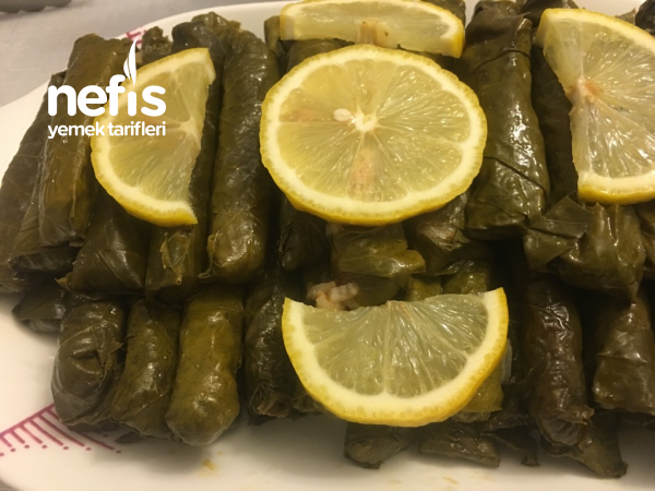 Glamur aristokratlarning porno fotosuratlari Tubuz etuklar porno