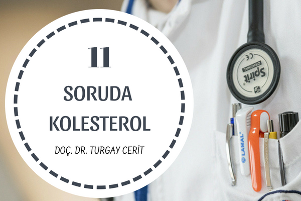 11 Soruda Kolesterol 11 Soruda Kolesterol