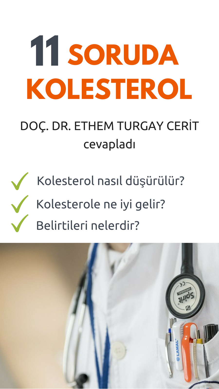 Kolesterol Nasıl Düşer: Kolesterole İyi Gelen Besinler Kolesterol Nasıl Düşer: Kolesterole İyi Gelen Besinler