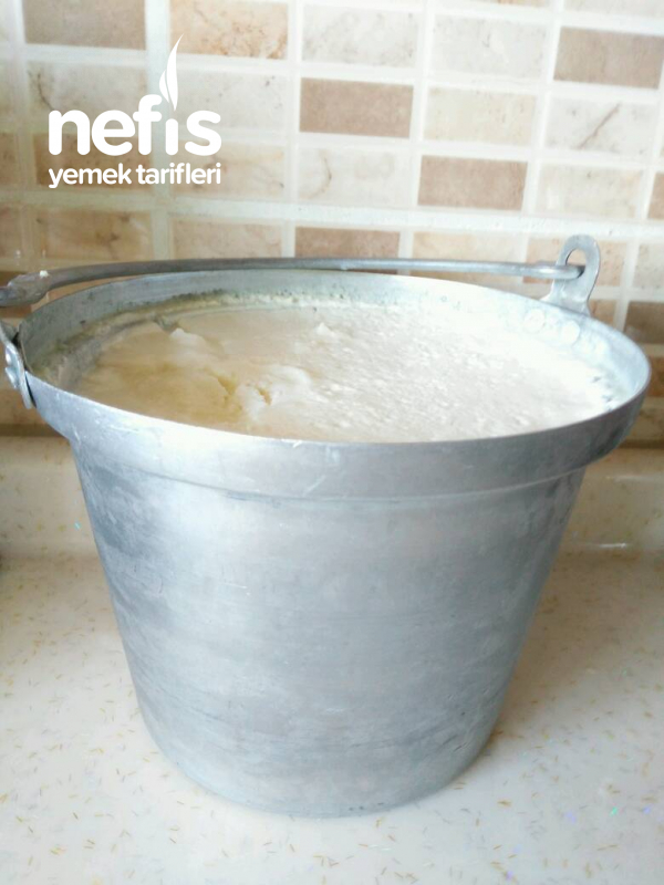 Ev Yoğurdu Nefis Yemek Tarifleri 4765918