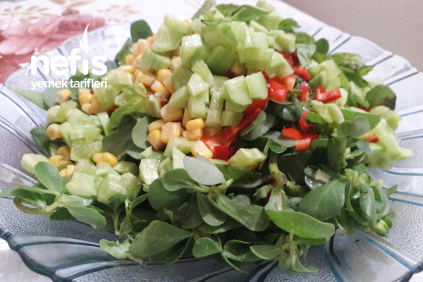 Semizotu Salatası
