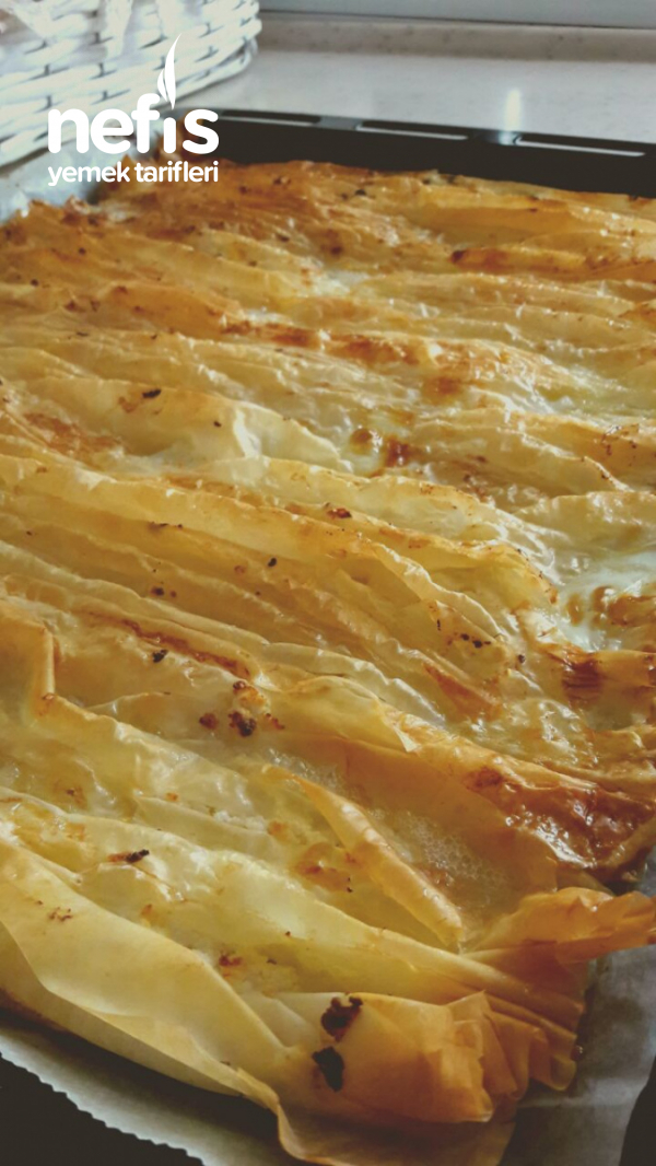 On Dakikada Muhteşem Çıtır Pileli Börek Nefis Yemek Tarifleri