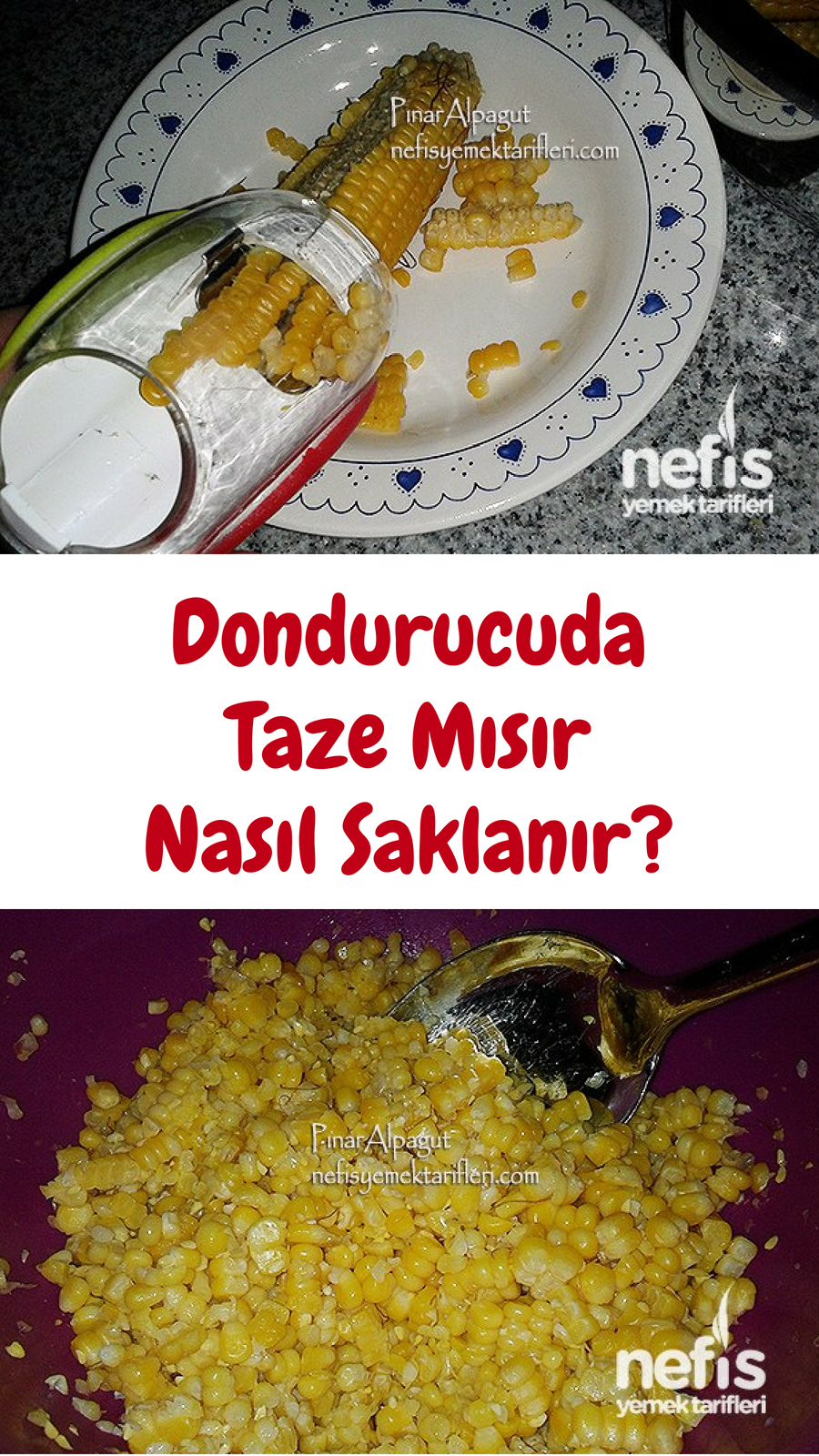 Çorba Dondurucuda Nasıl Saklanır Çorba Dondurucuda Nasıl Saklanır