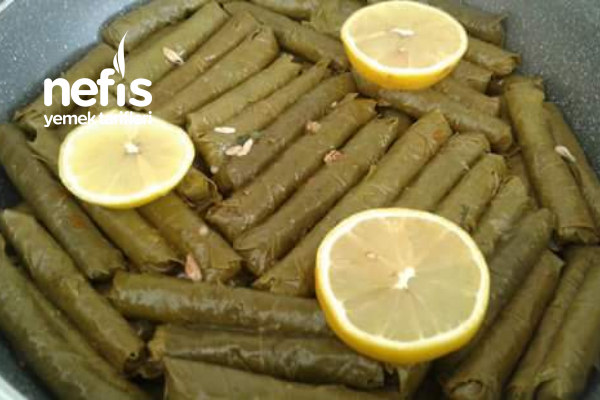 Zeytin Yağlı Yaprak Sarma (Tokat Yaprağı)