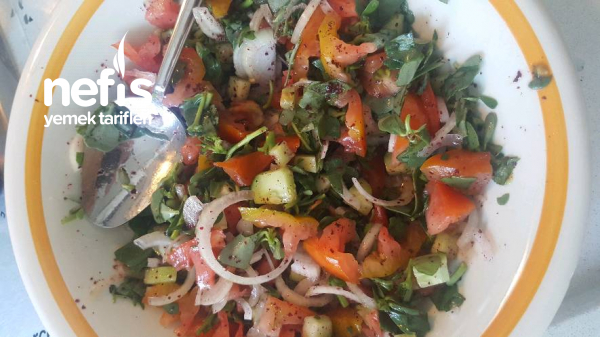 Semizotlu Salata (Soğukluk Salatası)