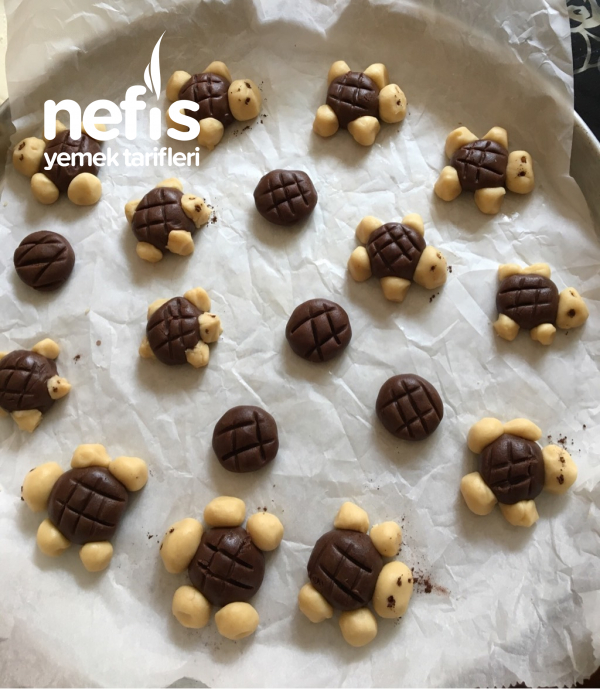 Kaplumbağa Kurabiye Nefis Yemek Tarifleri 4875175