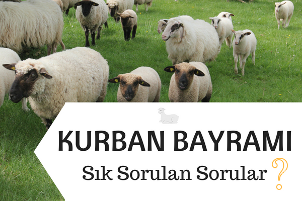 20 Soruda Kurban Hakkında Merak Edilen Her Şey Tarifi 20 Soruda Kurban Hakkında Merak Edilen Her Şey Tarifi