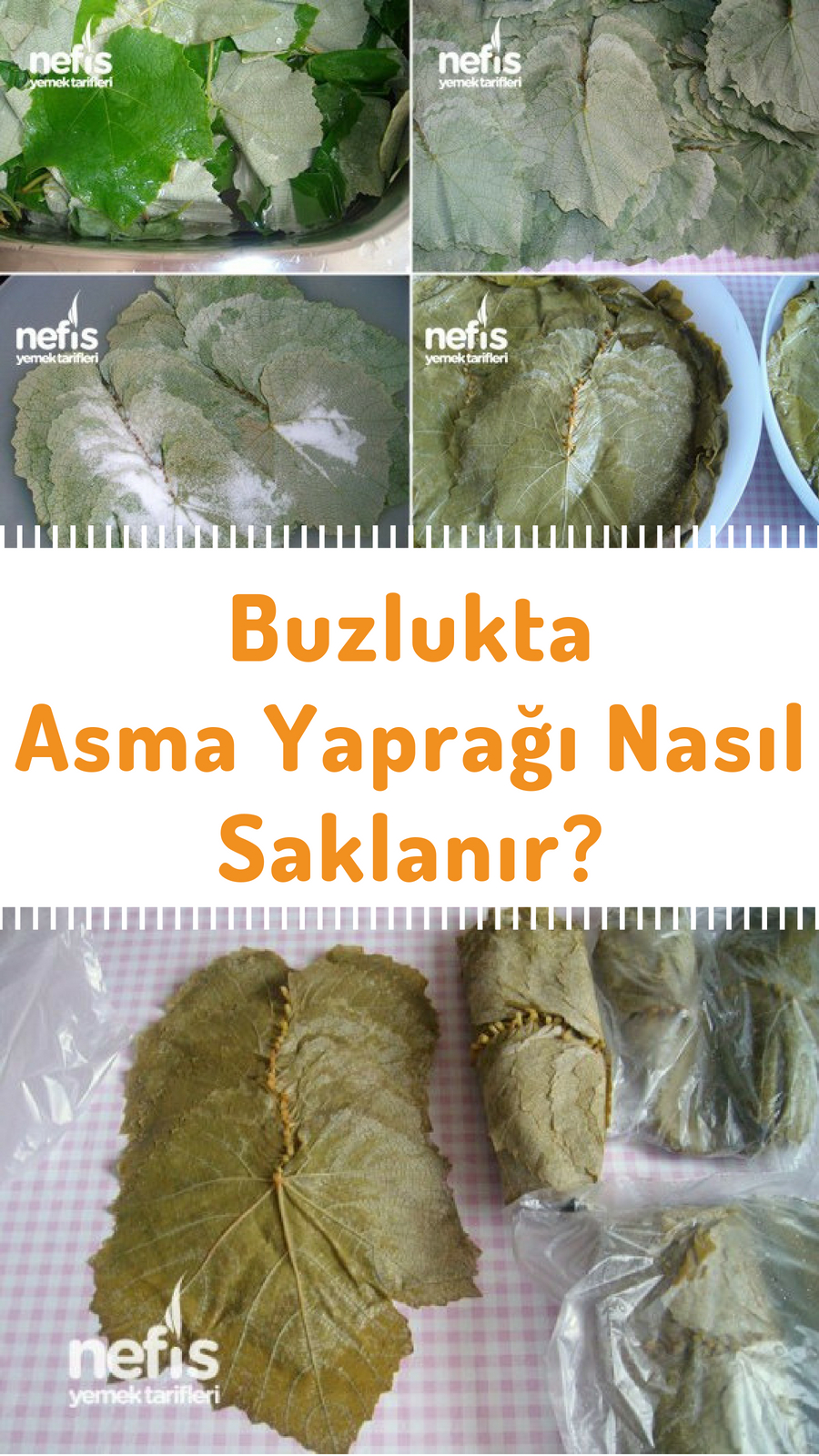Asma Yaprağı Dondurucuda Nasıl Saklanır Asma Yaprağı Dondurucuda Nasıl Saklanır
